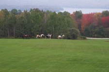 USA-Vermont-Vermont Equestrian Clinic